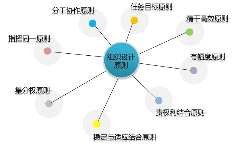 佛山企业管理咨询:佛山人力资源咨询公司组织架构设计咨询方案