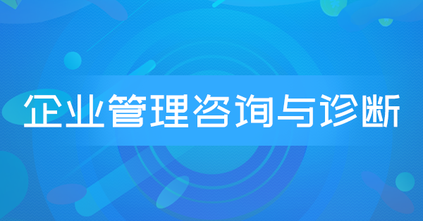 企业管理咨询与诊断