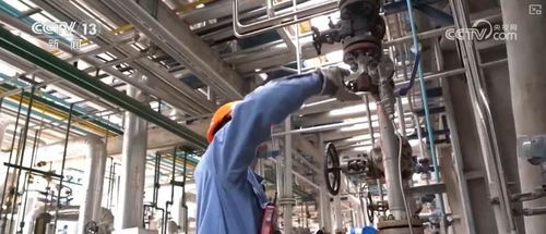 炼化工厂成鸟儿新 家 绿色工厂 尽显工业之美