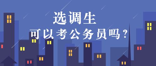 选调生可以考公务员吗